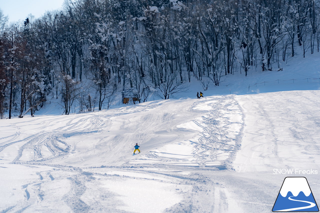 桂沢国設スキー場｜連日の冷え込みで雪質はドライ！美しく漂う綺麗な雪煙で遊んでみましょう♪